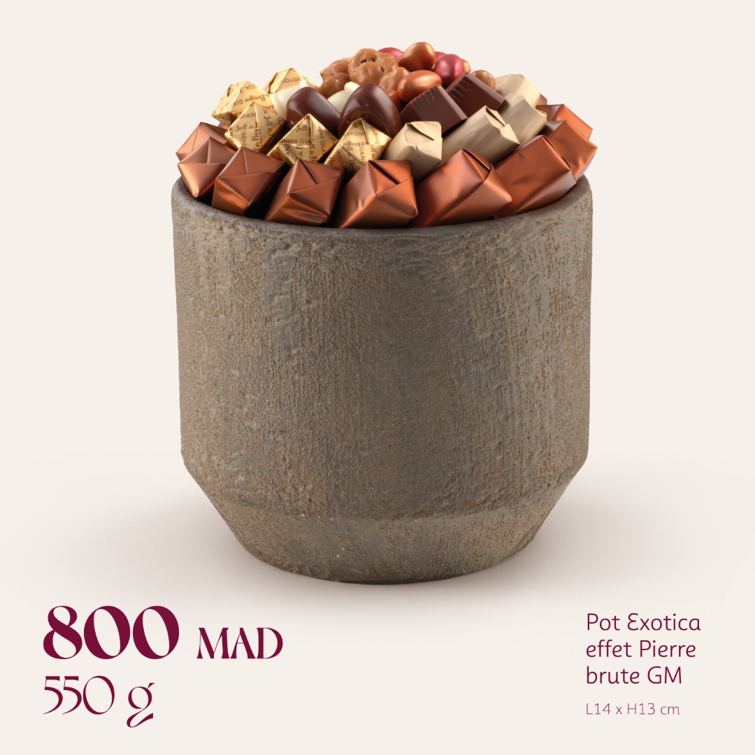 Pot Exotica effet Pierre brute